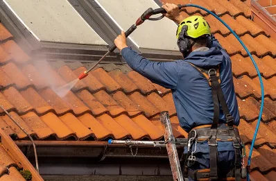 Démoussage et hydrofuge de toiture à Rochechinard